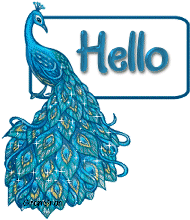 __flashReplacement__